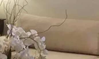 Imagem 2: CASA RESIDENCIAL em SÃO PAULO - SP, JARDIM BONFIGLIOLI