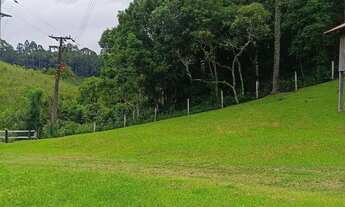 Imagem 5: Arrendamento de pasto pra gado , área localizada no bairro mandassaia , Campina G.do sul