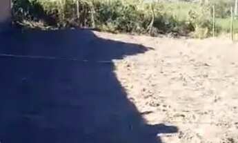 Imagem 6: Terreno / Lote - Quebradas III - Salgado