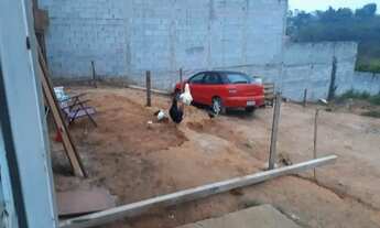 Imagem 3: Viva em Harmonia com a Natureza - À Venda!