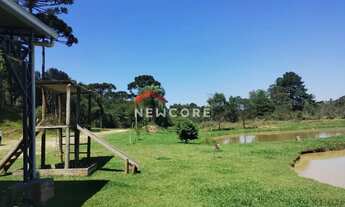 Imagem 2: Chácara em Rua Pedro Buher - Agarau - São José dos Pinhais/PR