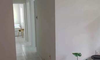 Imagem 4: Apartamento 3/4 no Condomínio Jardim das Hortênsias - 201988 [9249