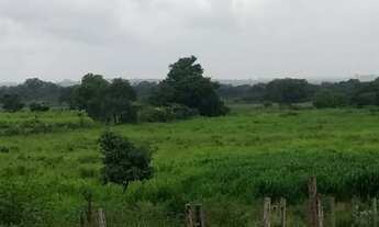 Imagem 2: Fazenda a venda margem ao Rio São Francisco 22 alqueires