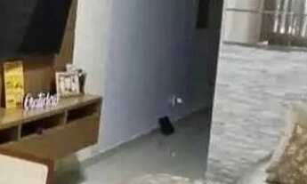 Imagem 2: Casa Jardim primavera