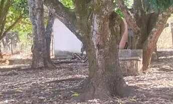 Imagem 3: Imóvel para venda com 5000 metros quadrados em Residencial Itaipú II - Abadia de Goiás - G