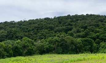 Imagem 3: Lotes para venda tem 500 metros quadrados em Cachoeira - Ibiúna - SP