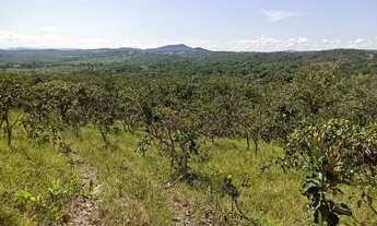 Imagem 3: Terreno Chácara 3 Alqueires 5 Km BR 414 Cocalzinho de Goiás