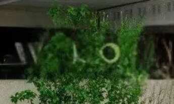 Imagem 5: Apartamento em Jardim Botânico