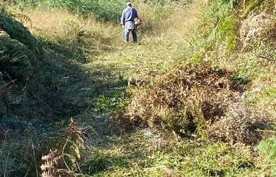 Imagem 2: Sítio em Estrada da Serra Grande - Serra Grande Italiana - Gramado/RS