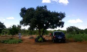 Imagem 2: Ágio Chácara Vale das Cachoeiras Aragoiânia