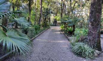 Imagem: Chácara a venda em campo largo da roseira
