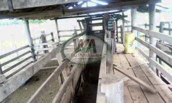 Imagem 5: Fazenda localizada entre Lagoa da confusão e Cristalândia-TO