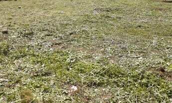 Imagem 6: Terreno Comercial