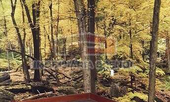 Imagem 6: Sobrado para aluguel com 471 metros quadrados com 6 quartos em Rio Branco - Porto Alegre