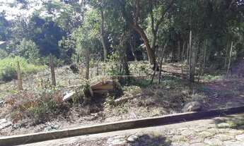 Imagem 2: BORDA DA MATA - Terreno Padrão - Centro