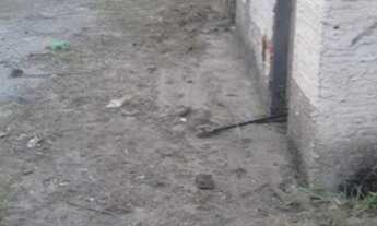 Imagem 5: Galpão em Jardim Jaú (Zona Leste) - São Paulo