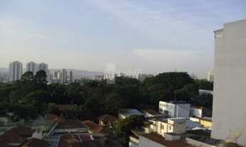 Imagem 2: 3 DORMITÓRIOS.SUÍTE. 2 VAGAS