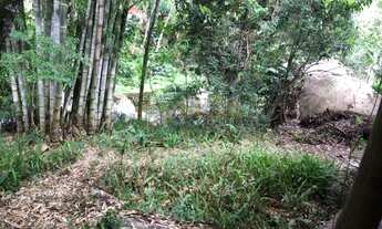 Imagem 6: Lote / Terreno em Cascatinha - Nova Friburgo