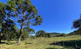 Imagem 5: Urubici/Área rural de 6.9 Hectares ás margens da SC-110, sentido São Joaquim