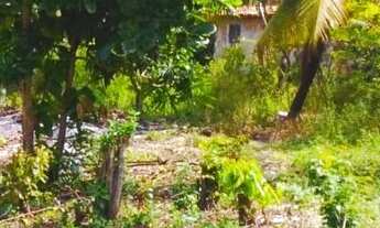 Imagem 4: Lotes no Village Jacuma (praia do amor)PB!!