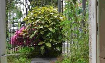 Imagem 3: SOBRADO - PARAÍSO - SP