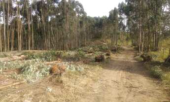 Imagem 2: Salesópolis - a venda