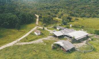 Imagem 5: Fazenda com 204 HA à venda em Penha, Paulo Lopes
