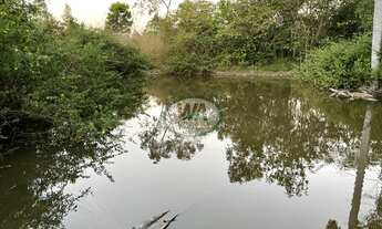 Imagem 4: Chácara ótima para criação pertinho da cidade