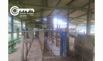 Imagem 3: Sitio a venda em Sete barras