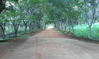 Imagem 4: Terreno para Venda em Cláudio/MG