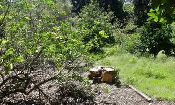 Imagem 4: Sitio 17 Hectares Aceito Permuta em Passa Tempo MG
