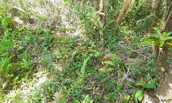 Imagem 3: Ótimo Terreno na Área Rural de Itanhaém 38,75m X 65.10m