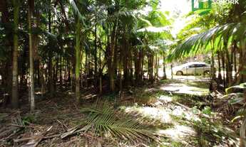 Imagem 3: Sítio à venda, 23834 m² por R$ 250.000,00 - Patrimônio - Massaranduba/SC