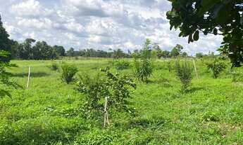 Imagem 7: Vendo chácara 3 alqueires lugar ótimo com casas rios etc