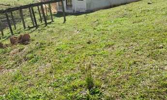Imagem 2: Lote/Terreno para venda com 600 metros quadrados em Águas de Igaratá - Igaratá - SP