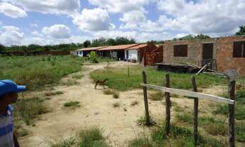 Imagem 2: Terreno Comercial para Venda em São Gonçalo do Amarante, VIOLETE