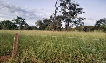 Imagem 2: Vendo Chácara Chácara com venda por R$250.000