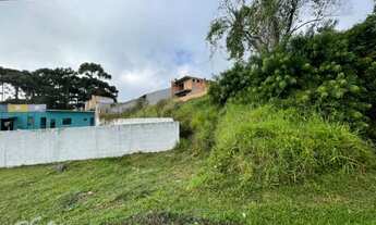 Imagem 3: TERRENO QUATRO BARRAS - PR