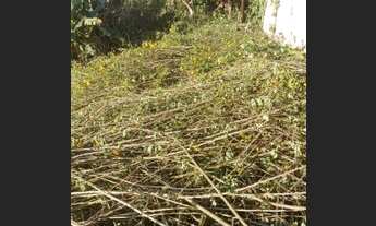 Imagem 6: Terreno Jardim alegria 311 m2