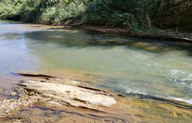 Imagem 5: Fazenda/Sítio/Chácara para venda tem 2500 metros quadrados com 1 quarto