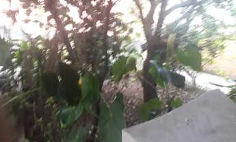 Imagem 3: Terreno à venda, 270 m² - Oportunidade para Construtora