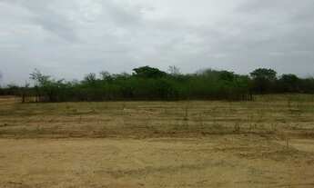 Imagem: Terreno Loteamento em Rincão - Mossoró