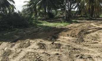 Imagem 6: TERRENOCAMAÇARI