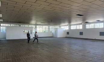 Imagem 3: Galpão em Vila Ribeiro de Barros - São Paulo