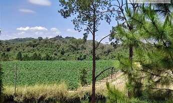 Imagem 3: Chácaras à venda em Itupeva/SP - Compre o seu chácaras aqui!