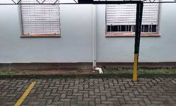 Imagem 3: Venda Apartamento PORTO ALEGRE RS Brasil