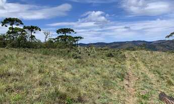 Imagem 2: Terreno / Venda Terreno / lote com venda por R$1.000.000