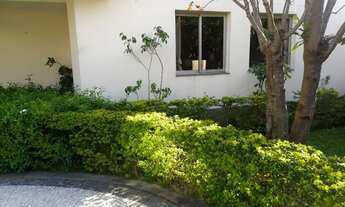 Imagem 2: APARTAMENTO DE 03 DORMITORIOS PARA ALUGAR OTIMO PREÇO