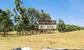 Imagem 6: Fazenda de Oportunidade ! São 25 Alqueires ! Região de Heitoraí !