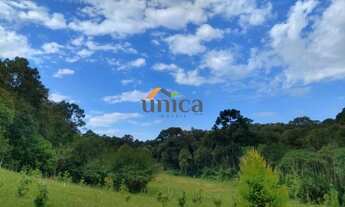 Imagem 4: Terreno - Campo Alegre